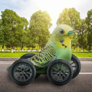 🚗