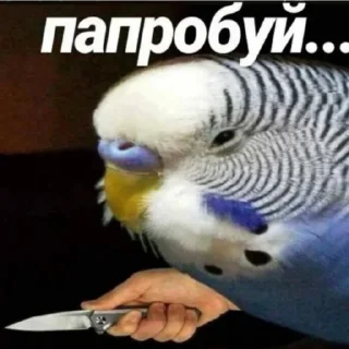 🤨