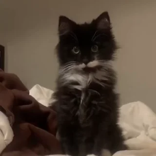 😮