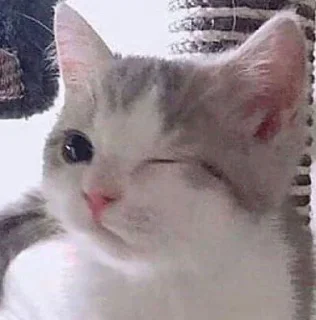 😉
