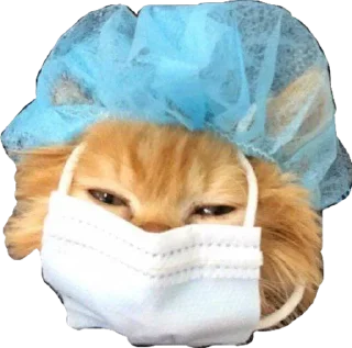 😷