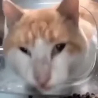 😨