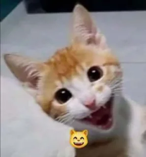 😄