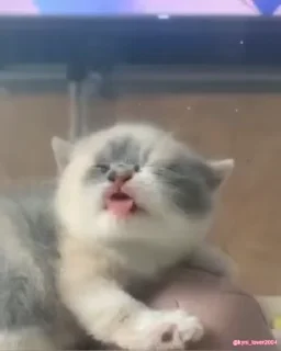 😝