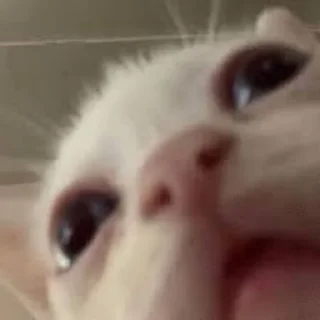 🙁