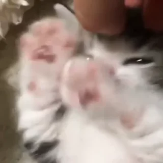 🥺