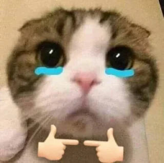😭