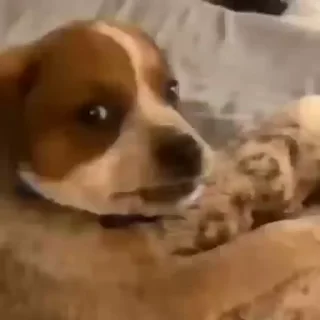 😒