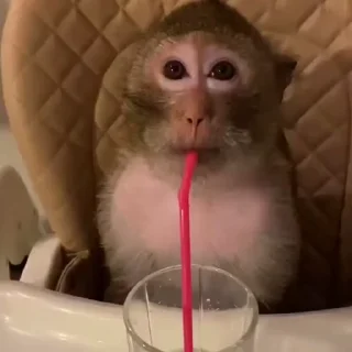 🤪