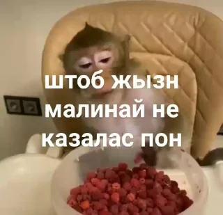 🍓
