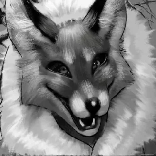 🦊
