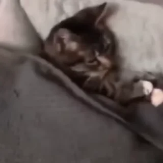 😴