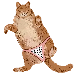Котомемы от FILKIT