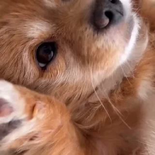 😜