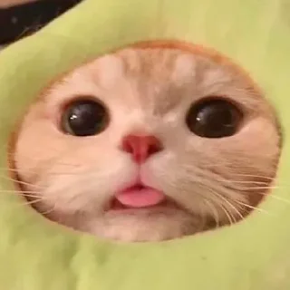 😋