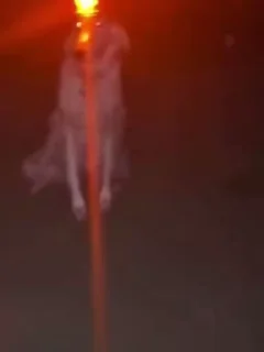 🚨