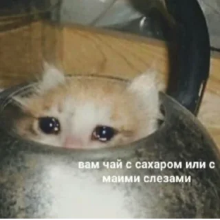 😢
