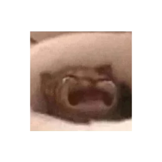 👹