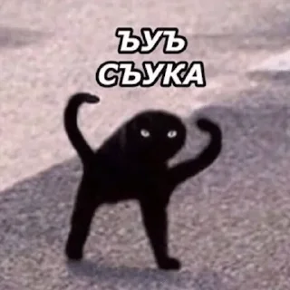 😤