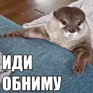 🤗