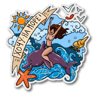 🐬