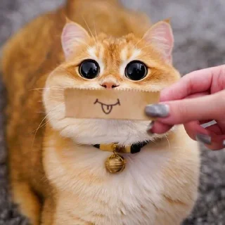🥰