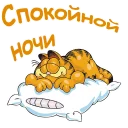 😴