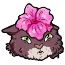 🌸