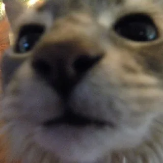 😳