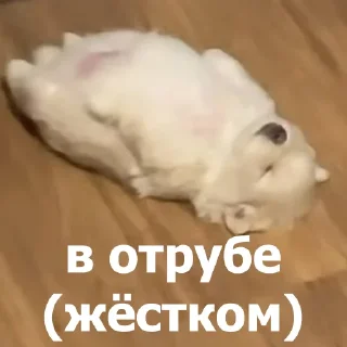 🥱