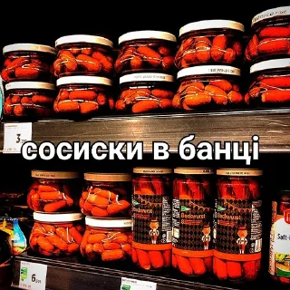 🌭