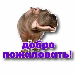😄