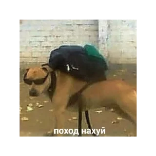 🦸