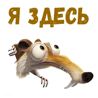 😉