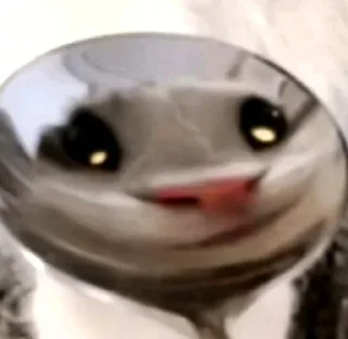 😏
