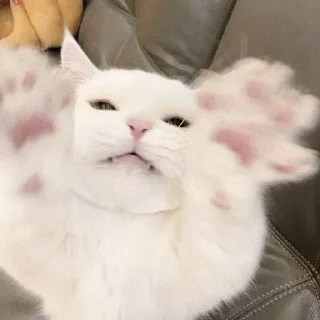 😝