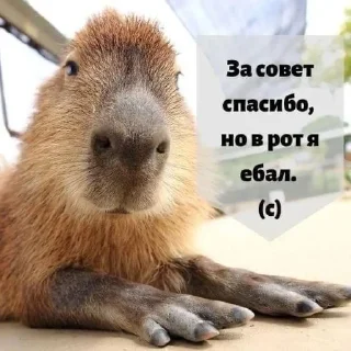 😠