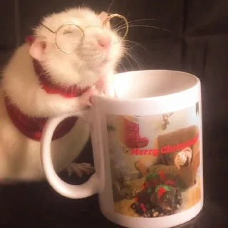 🎄