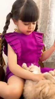 🐥