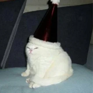 🥳