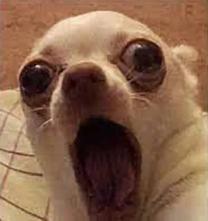 😱