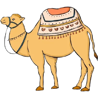 🐫