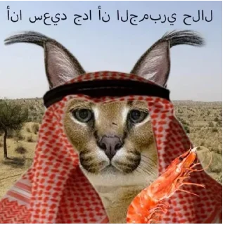 🇦🇫