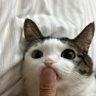 😶