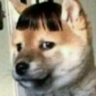 🤡