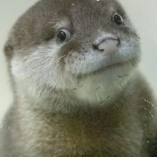 😇