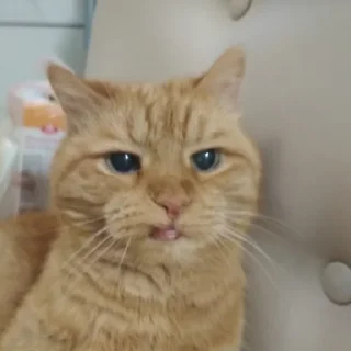 👹