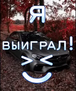 🤩