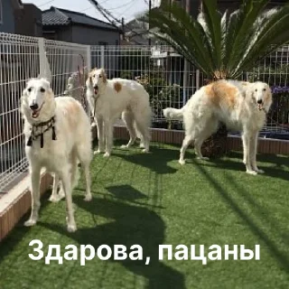 👋