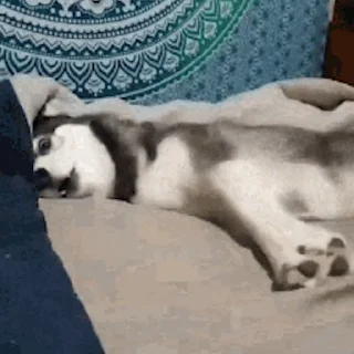 😛